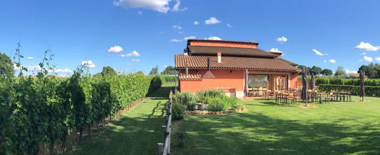 Sandonna - Famiglia e vini del territorio