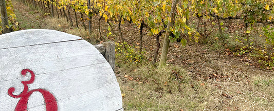 30 Querce - Lugnano in Teverina