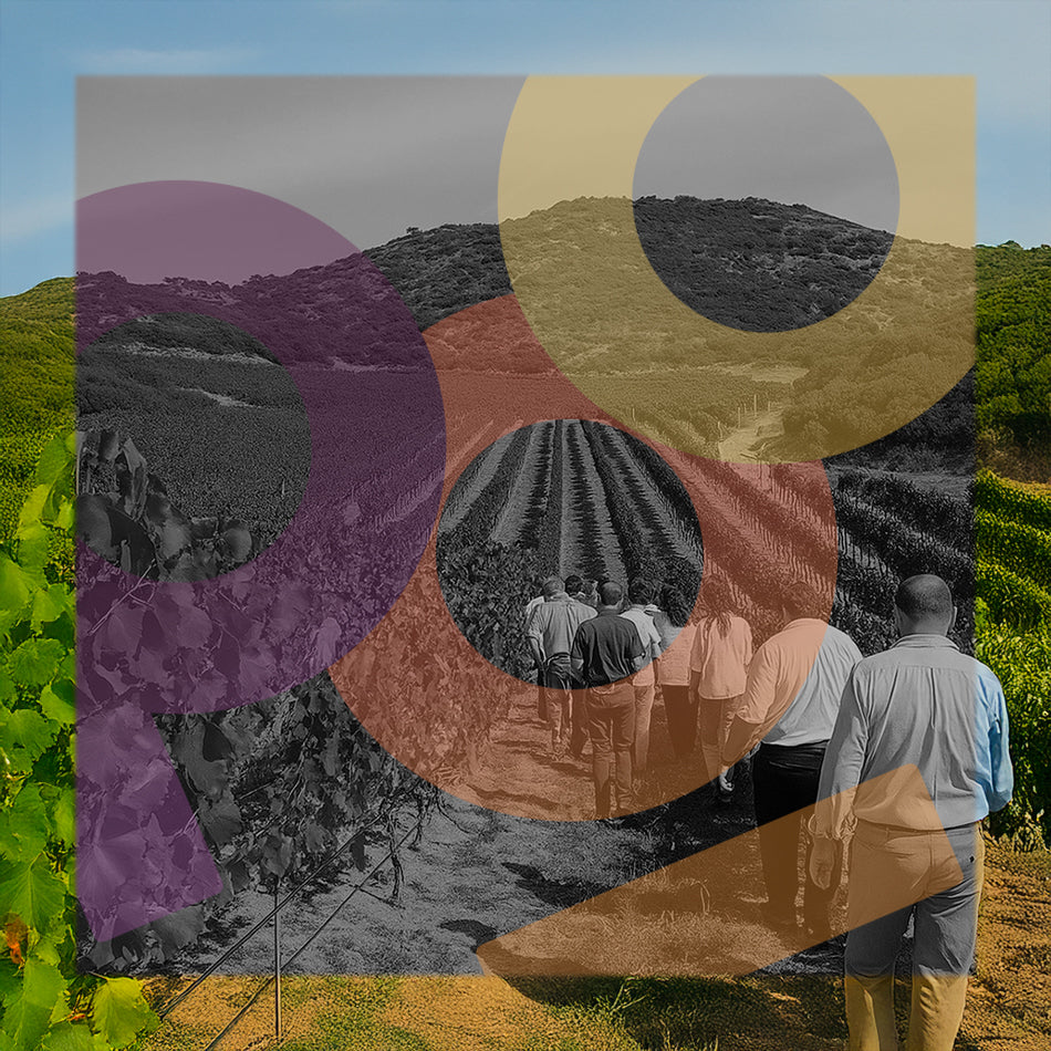 Scegli la tua esperienza